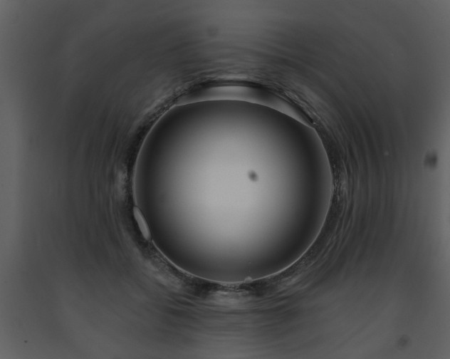 X0000091700556200708241225