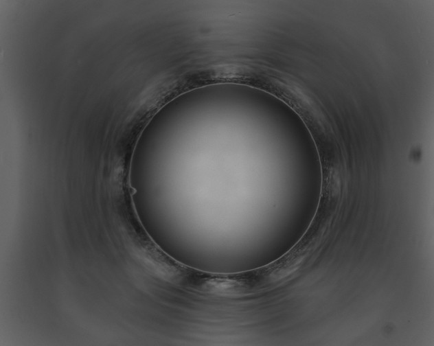 X0000091700557200708241225