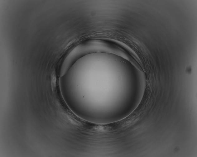 X0000091700558200708241225