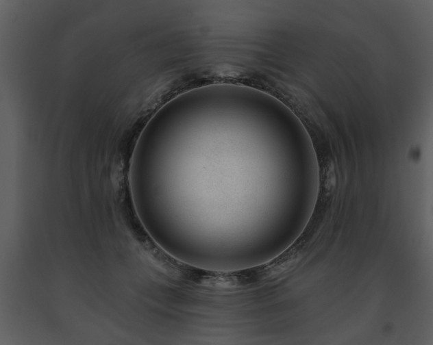 X0000091700559200708241225