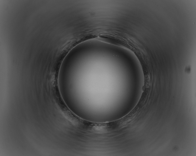 X0000091700560200708241225