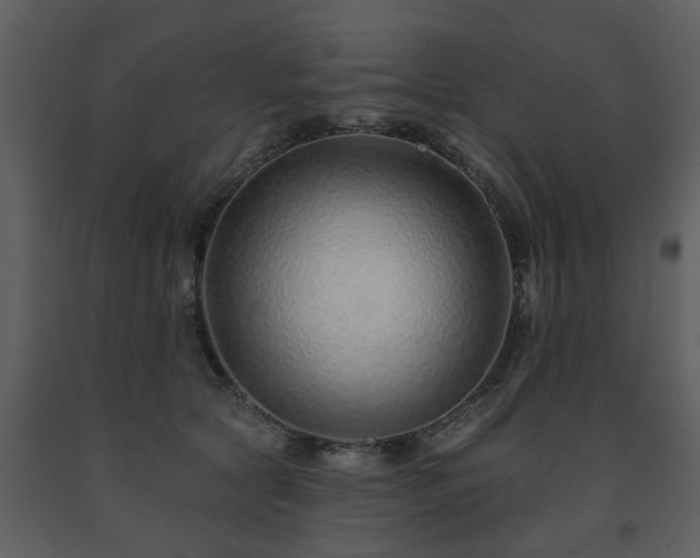 X0000091700561200708241225