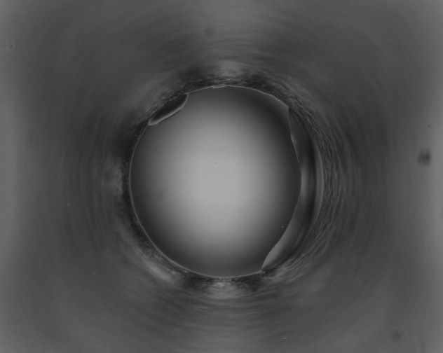 X0000091700562200708241225