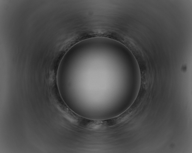 X0000091700563200708241225