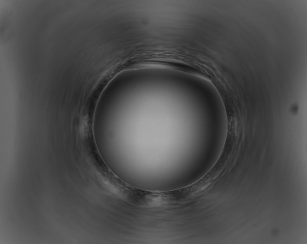 X0000091700564200708241225