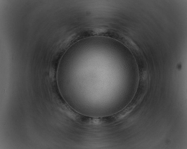 X0000091700565200708241225