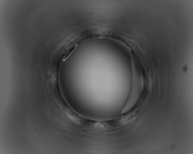 X0000091700566200708241225