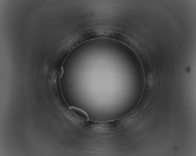 X0000091700567200708241225