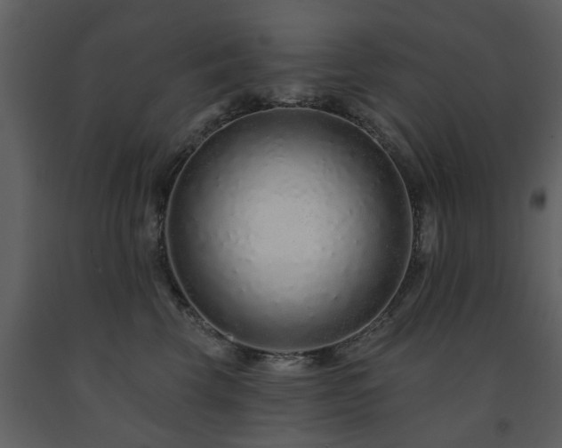 X0000091700569200708241226