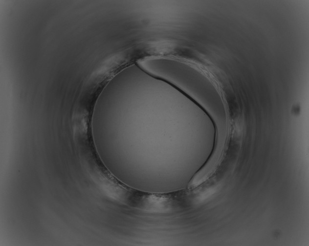X0000091700570200708241226