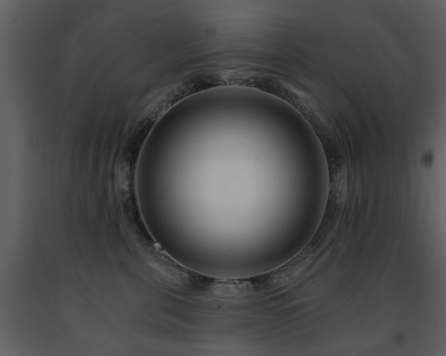 X0000091700571200708241226