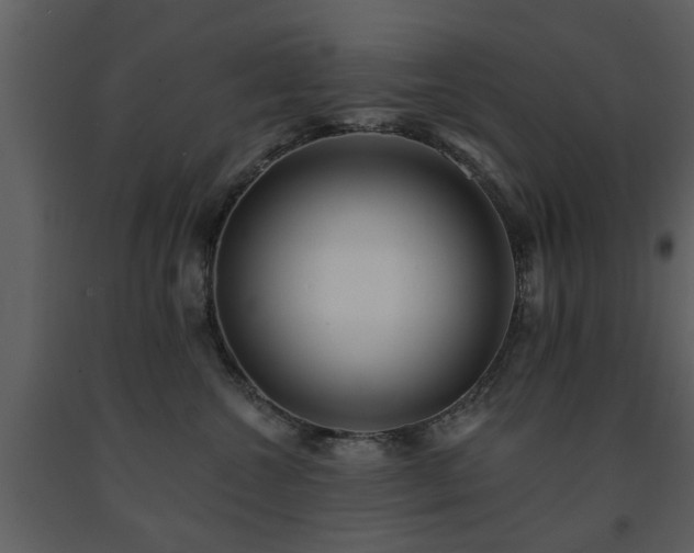 X0000091700572200708241226