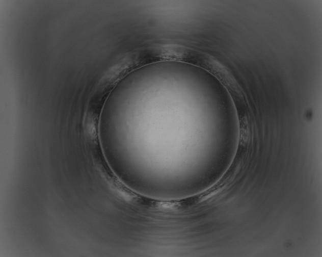 X0000091700573200708241226