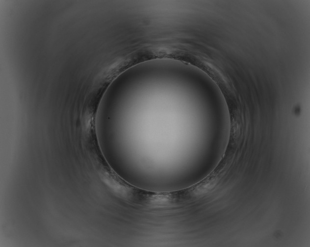 X0000091700574200708241226