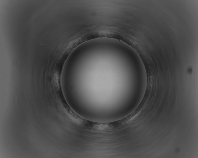 X0000091700575200708241226