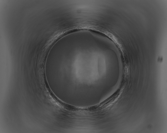 X0000091700577200708241225