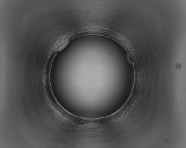 X0000091700578200708241225