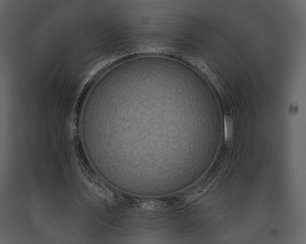 X0000091700579200708241225
