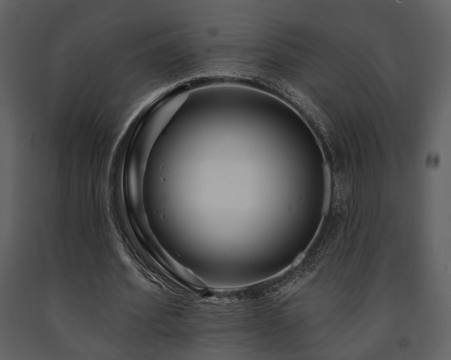 X0000091700580200708241225