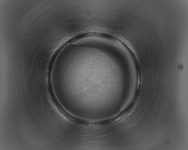 X0000091700581200708241225