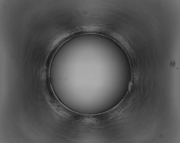 X0000091700583200708241225