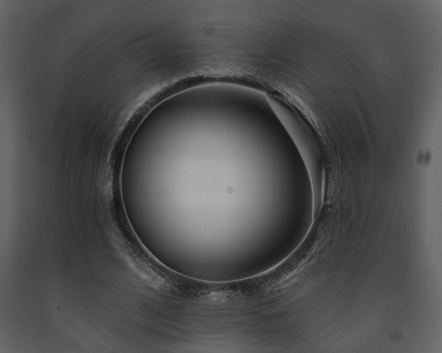 X0000091700584200708241225
