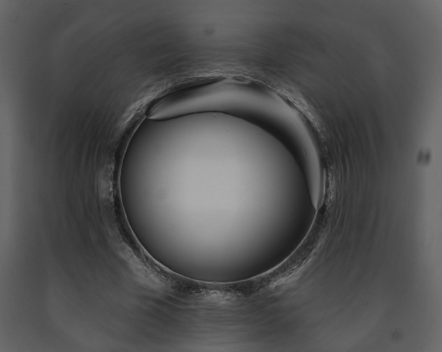 X0000091700585200708241225