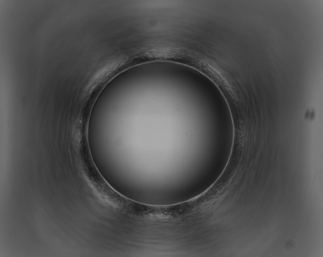 X0000091700586200708241225
