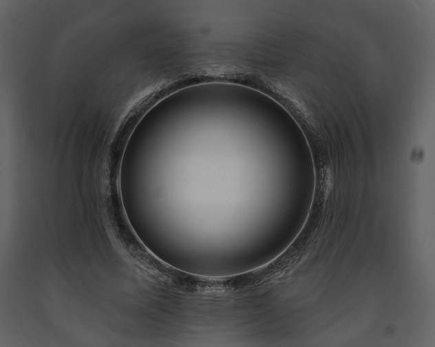 X0000091700587200708241225