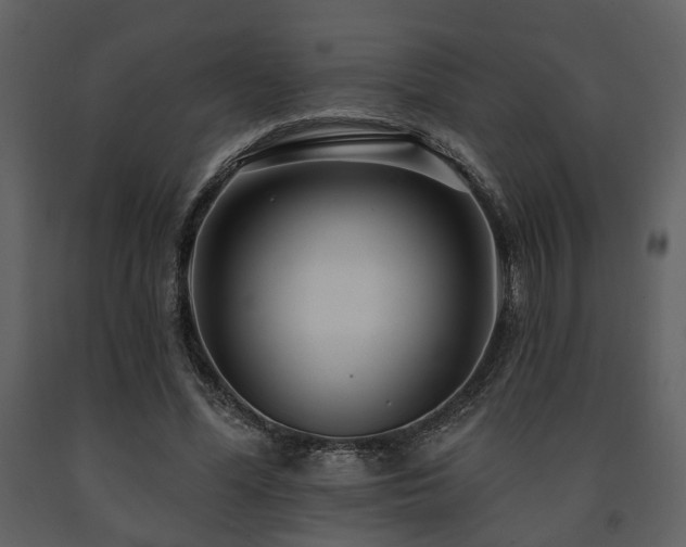 X0000091700588200708241225
