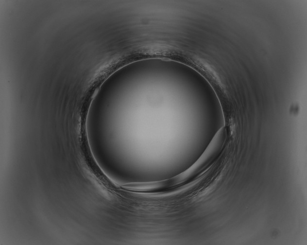 X0000091700589200708241225