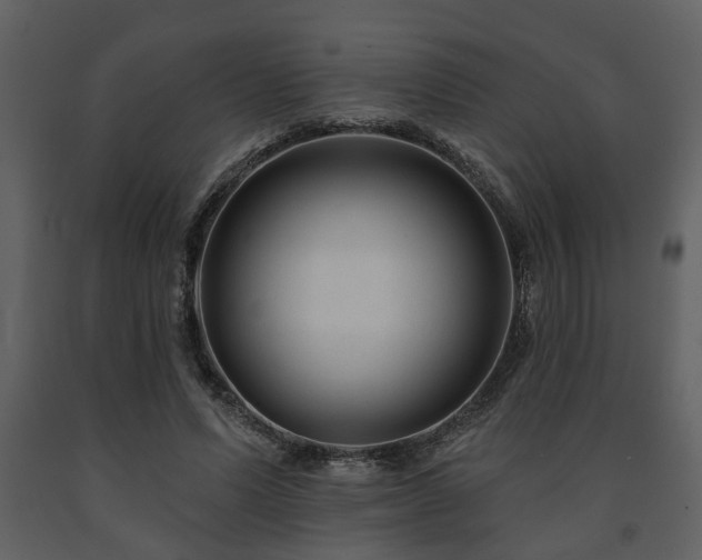 X0000091700591200708241225