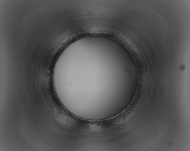 X0000091700592200708241225