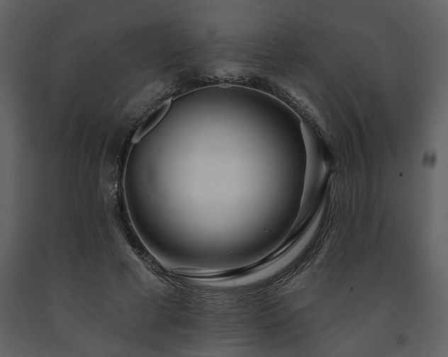 X0000091700593200708241225