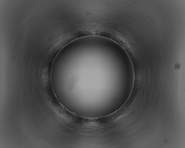 X0000091700594200708241225