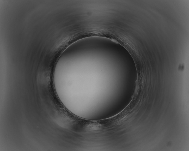 X0000091700595200708241225