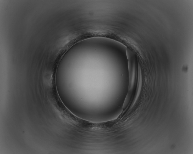 X0000091700596200708241225