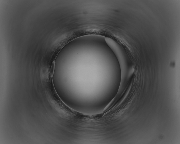 X0000091700597200708241225