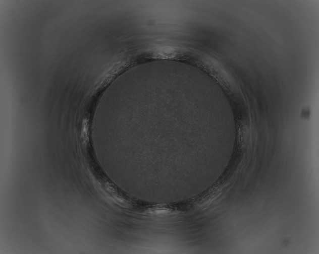 X0000091700598200708241225