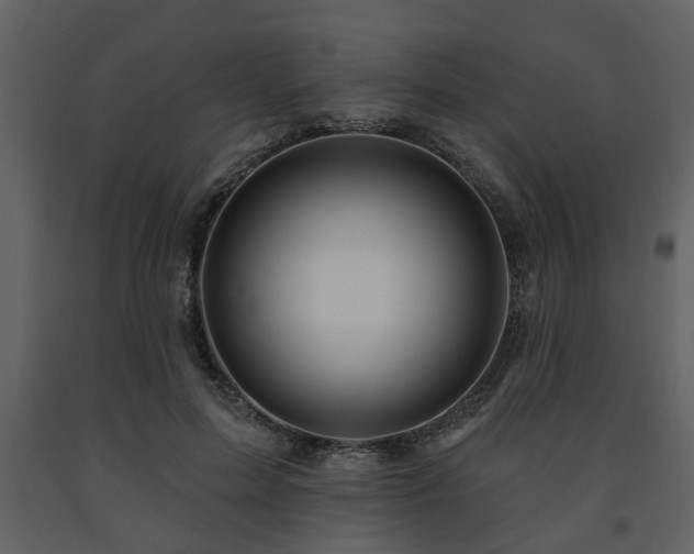 X0000091700599200708241225