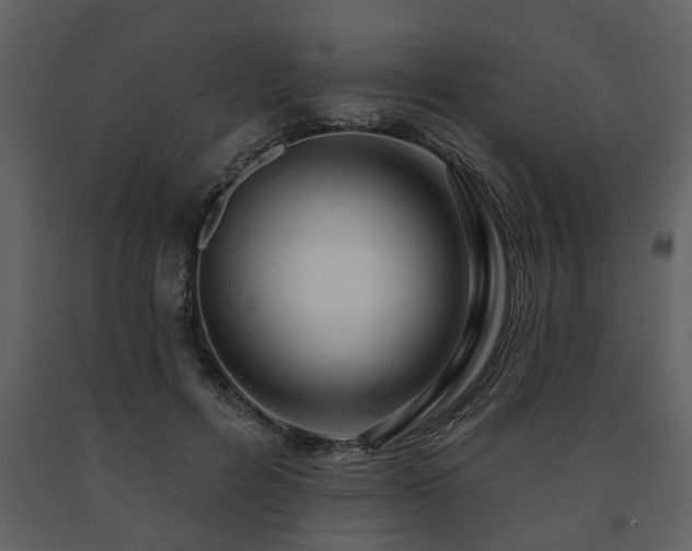 X0000091700600200708241225
