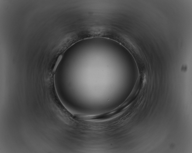 X0000091700601200708241225