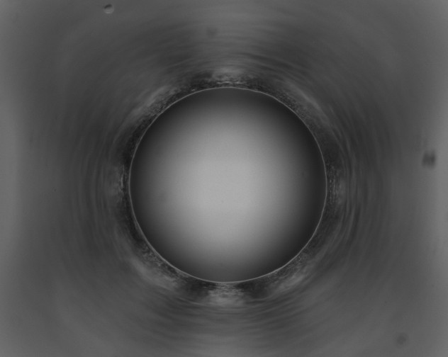 X0000091700603200708241225