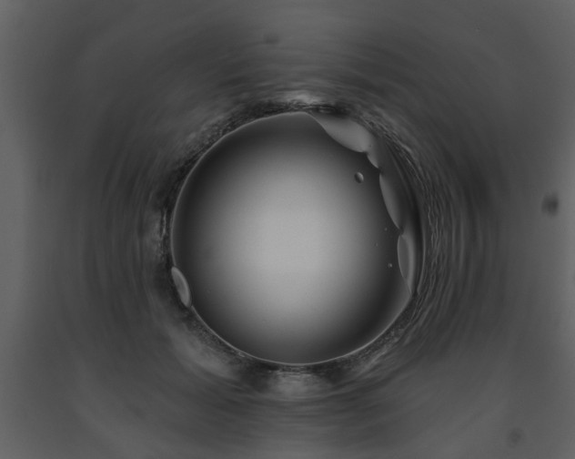 X0000091700605200708241225