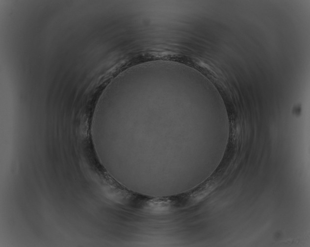 X0000091700606200708241225