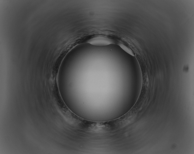 X0000091700607200708241225