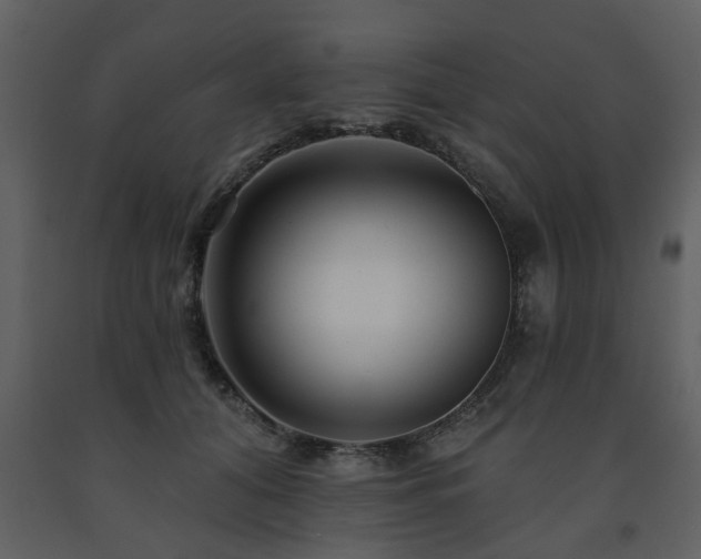 X0000091700608200708241225