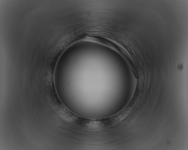 X0000091700609200708241224