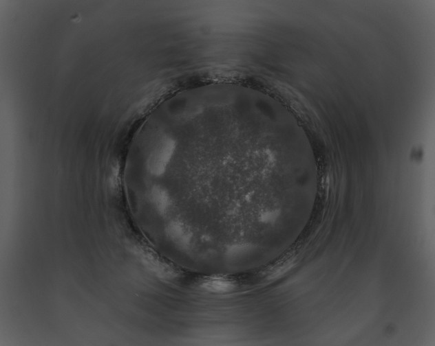 X0000091700610200708241224