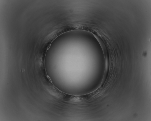 X0000091700611200708241224